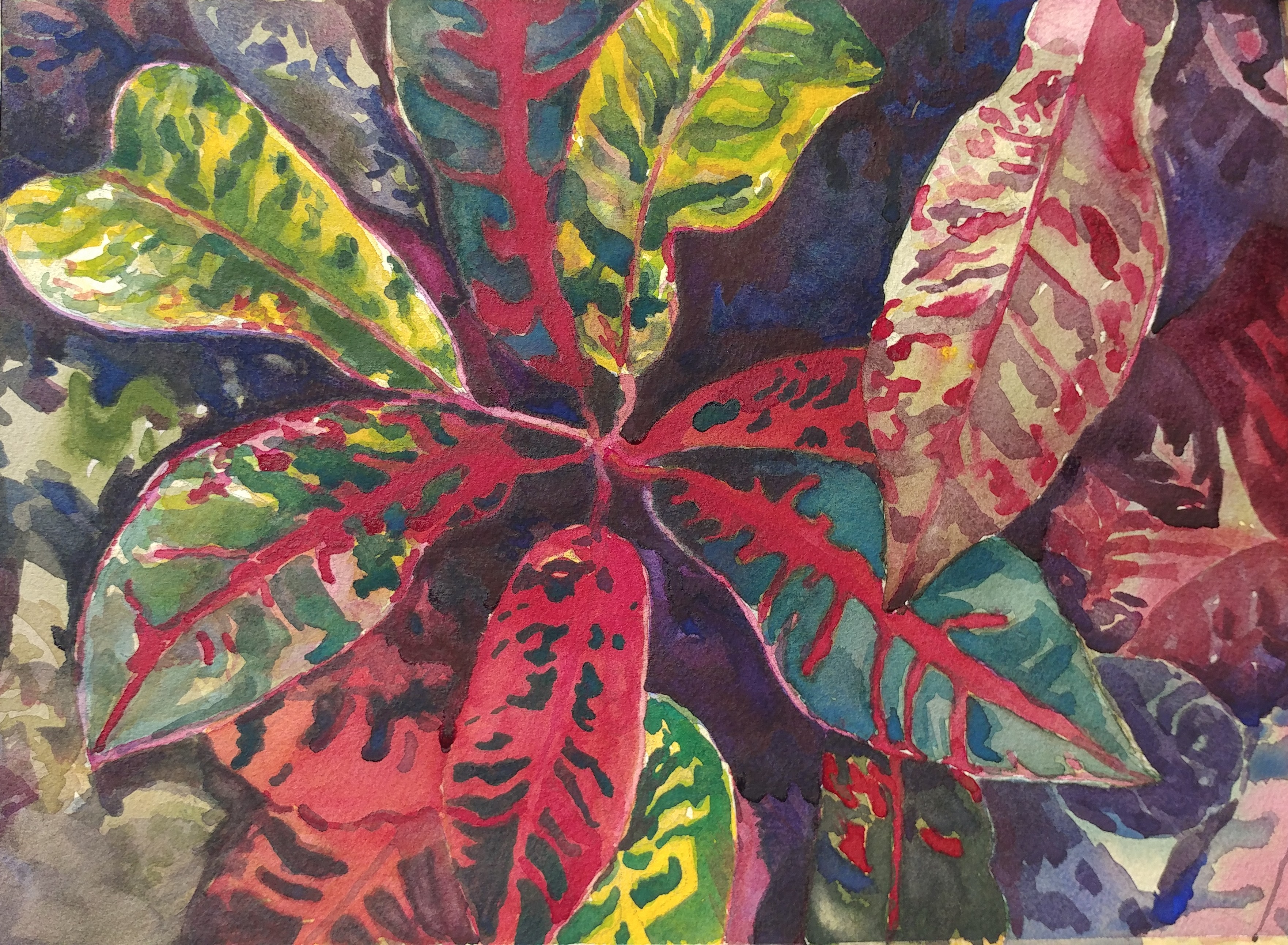 Riot of bold colors