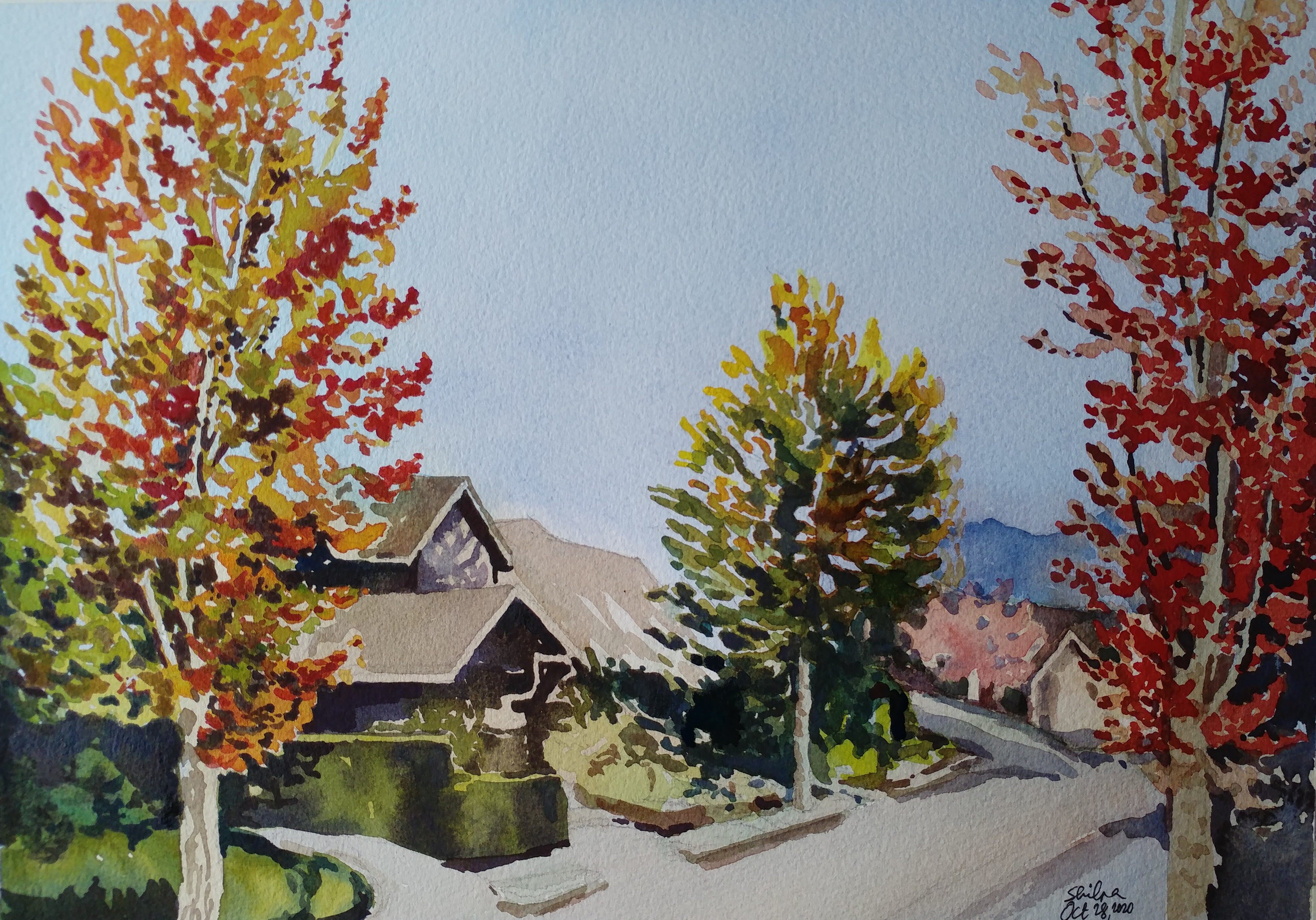 Fall Splendor