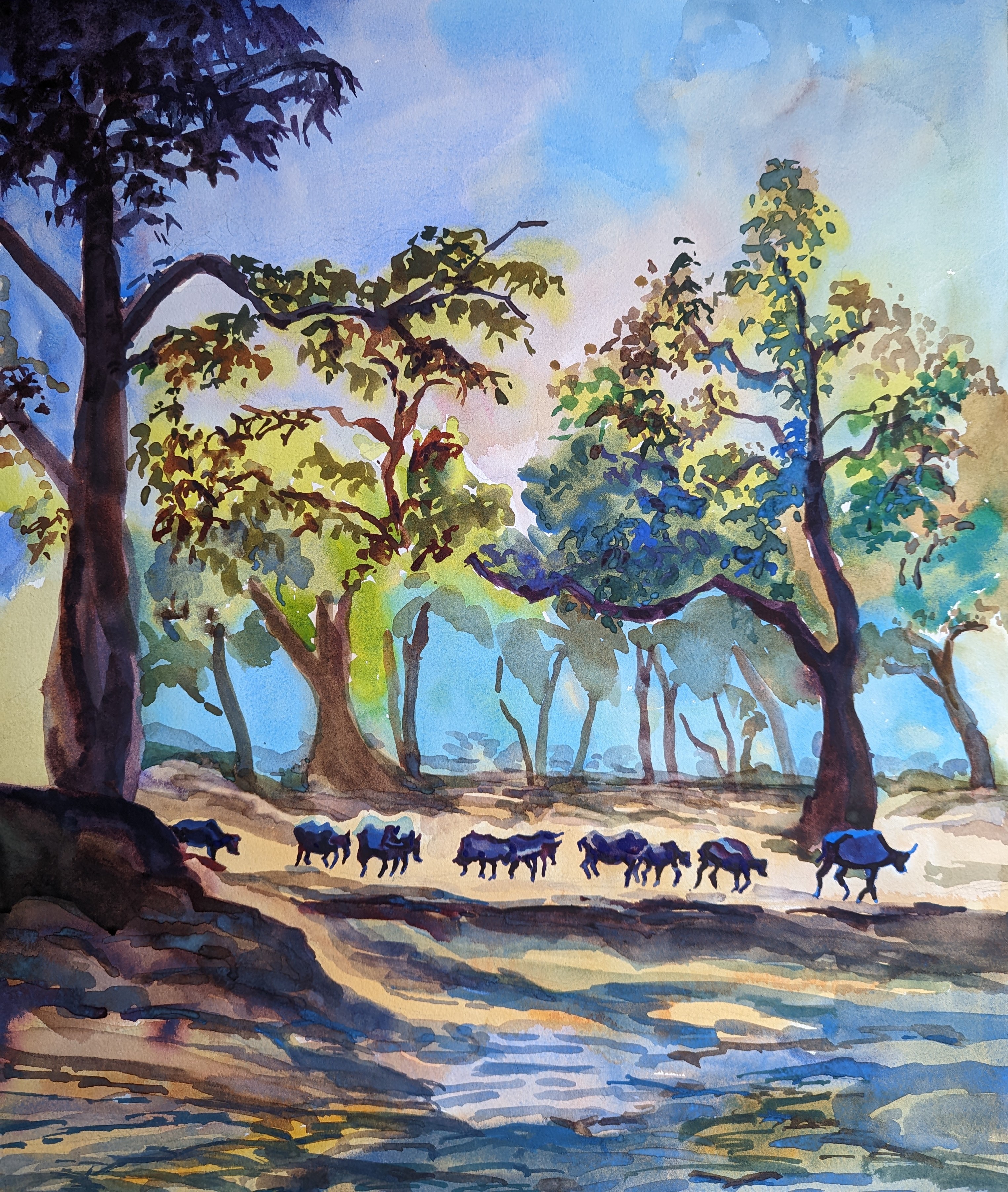 African Landscape